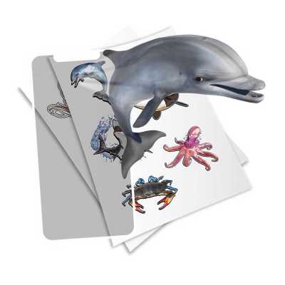 HoloToyz Sticker Super Sea Creatures AR Uyumlu Etiket - Thumbnail