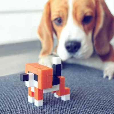 Pixio Orange Animals İnteraktif Mıknatıslı Manyetik Blok Oyuncak - Thumbnail
